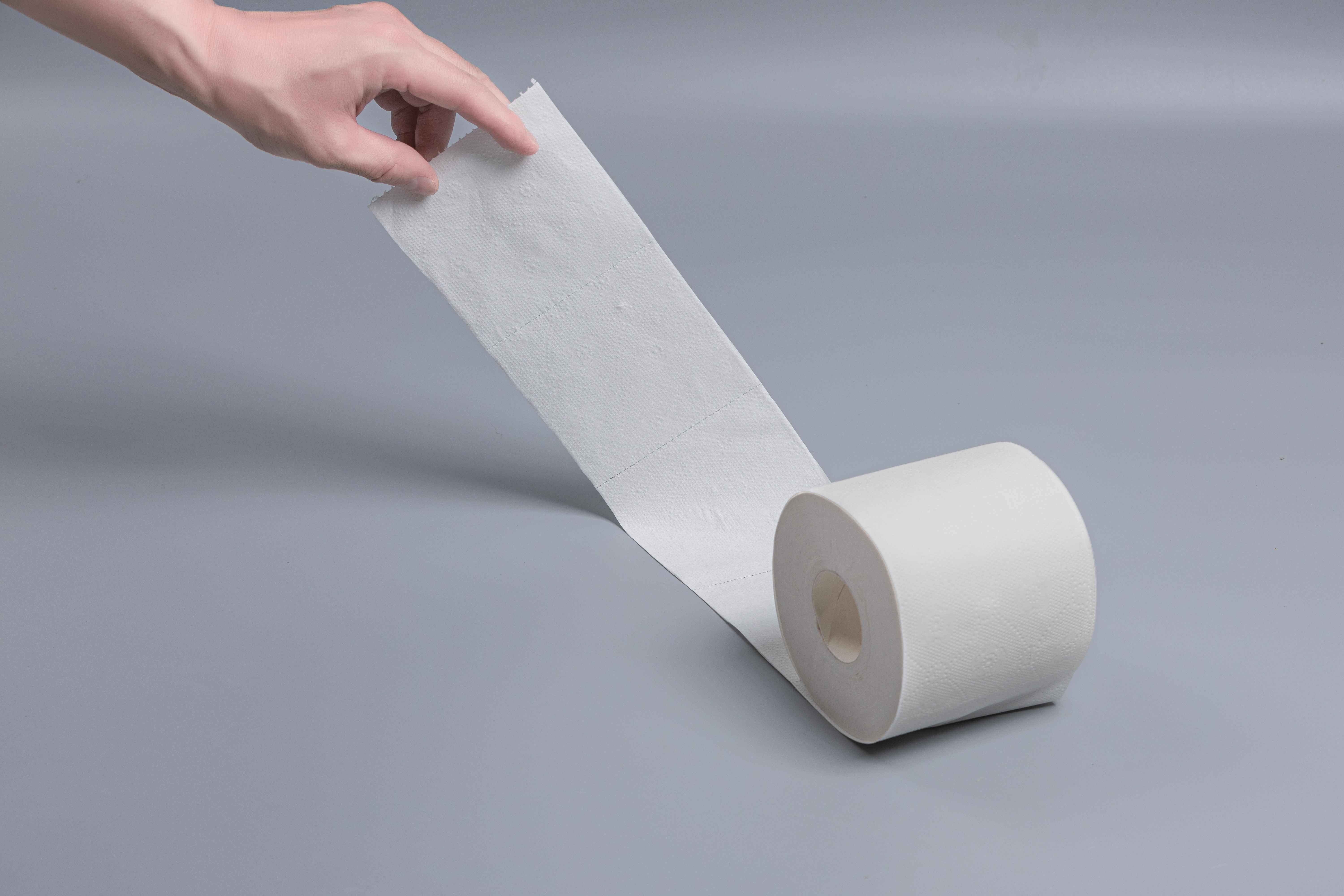 Premium Toilet Paper Rolls - Commercial quality